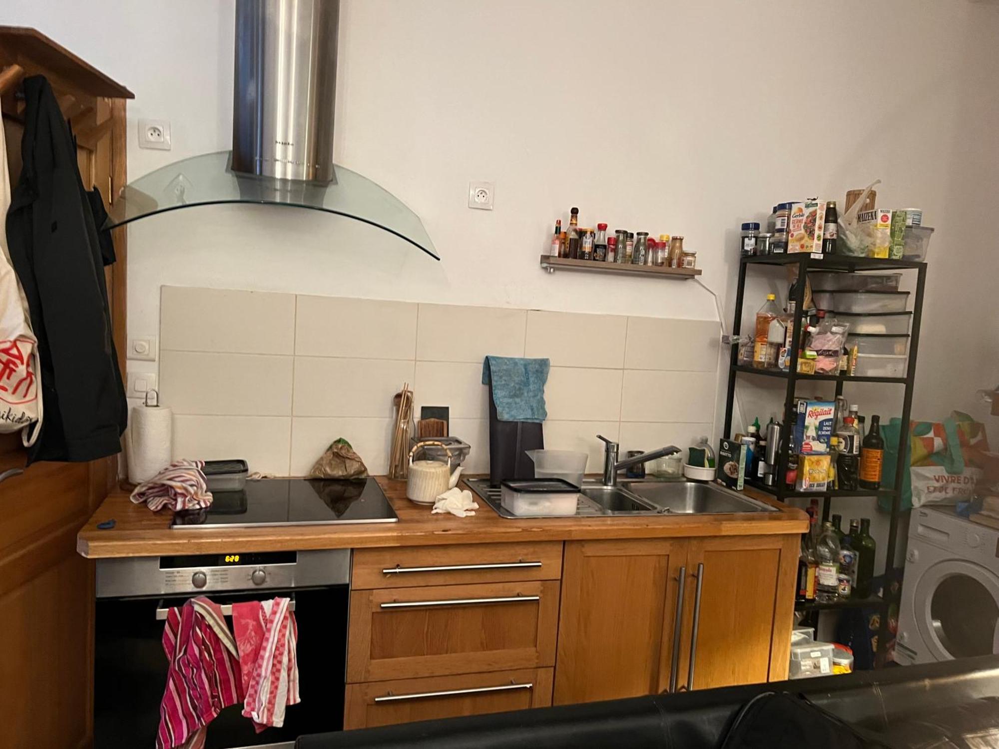 Large Parisian Duplex Guest house *