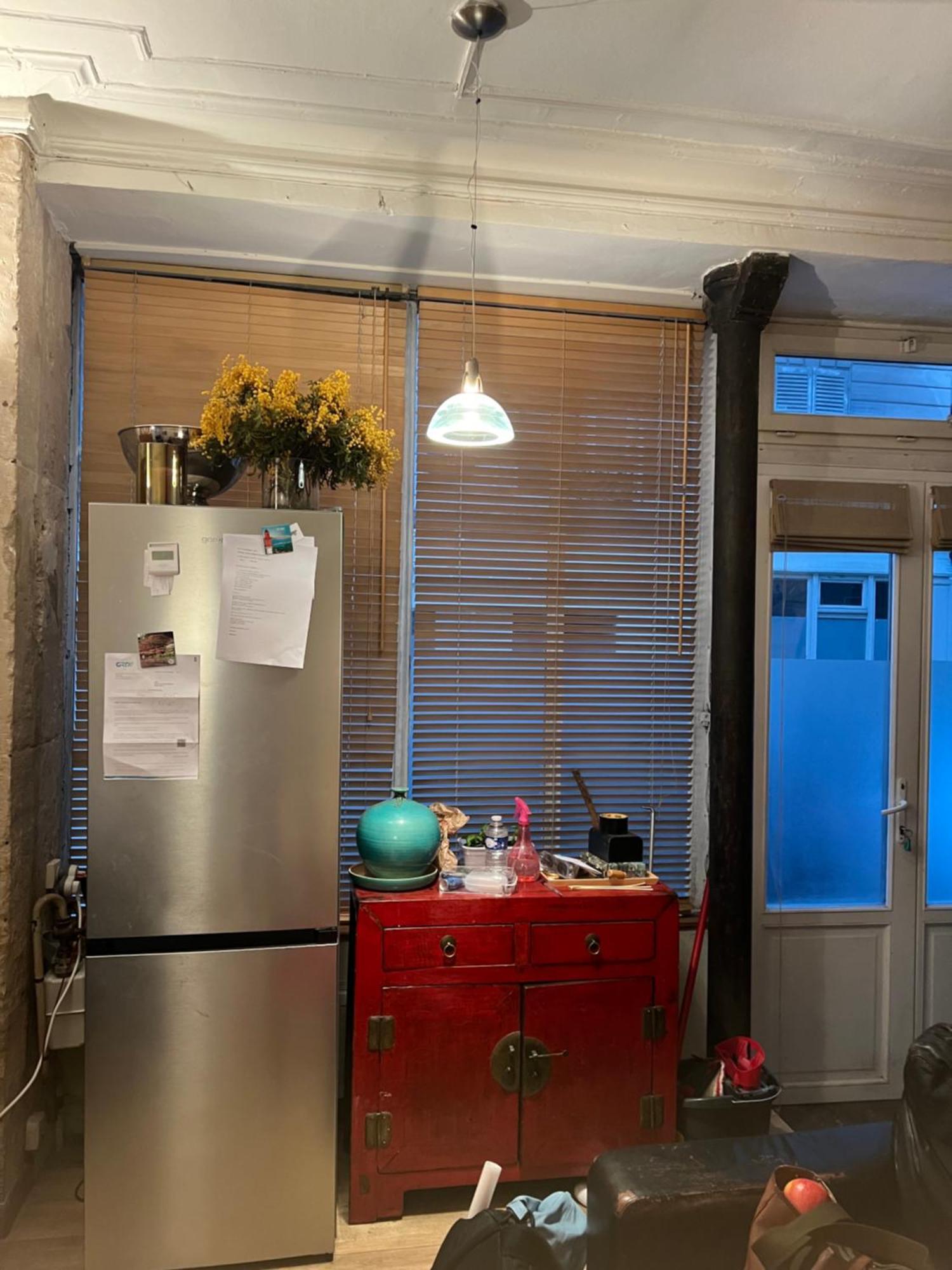 Large Parisian Duplex Guest house Paris